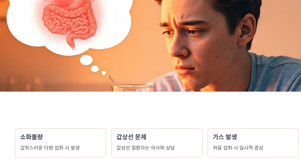 양배추즙 부작용 및 주의사항
