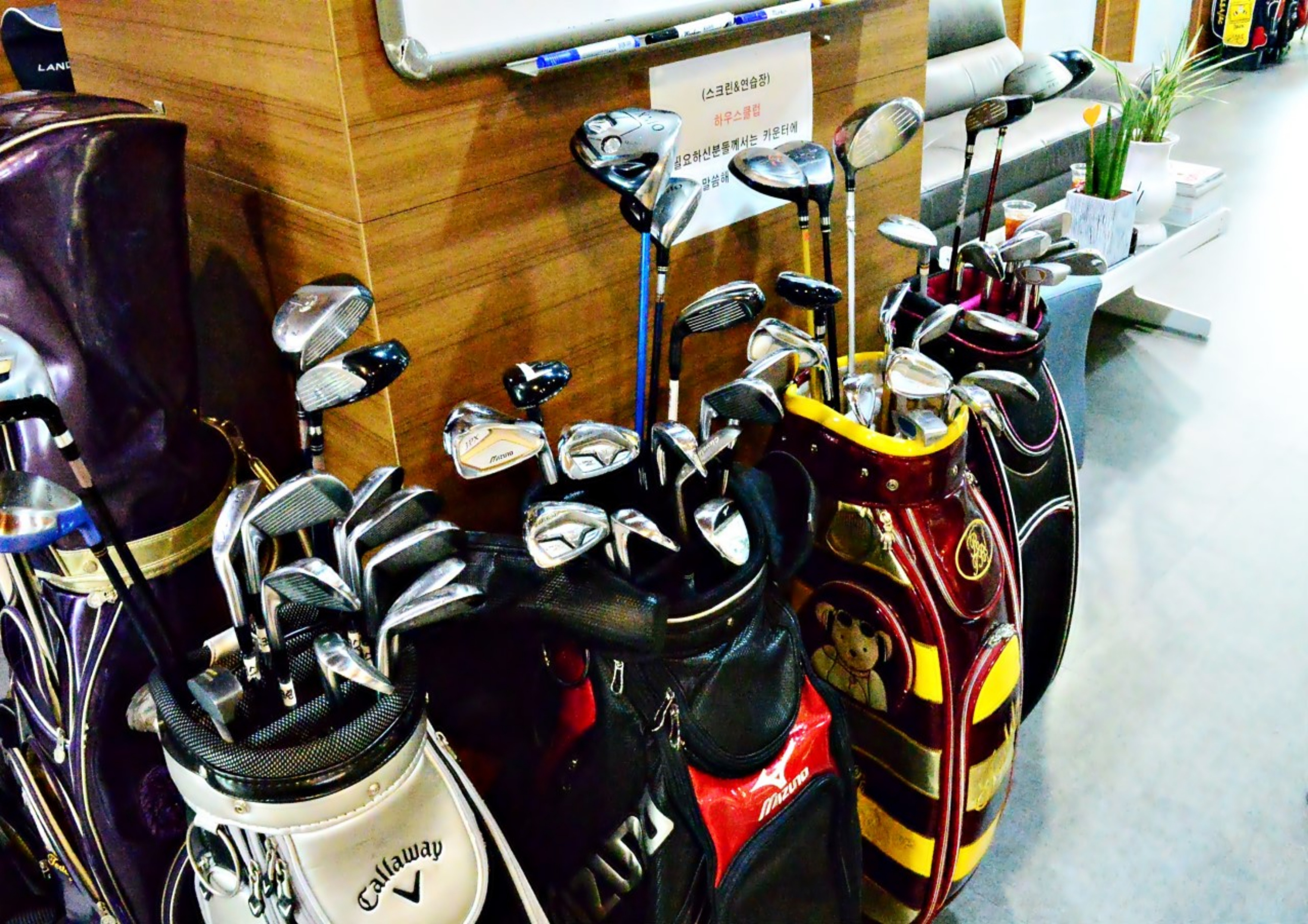 더스크린골프-10