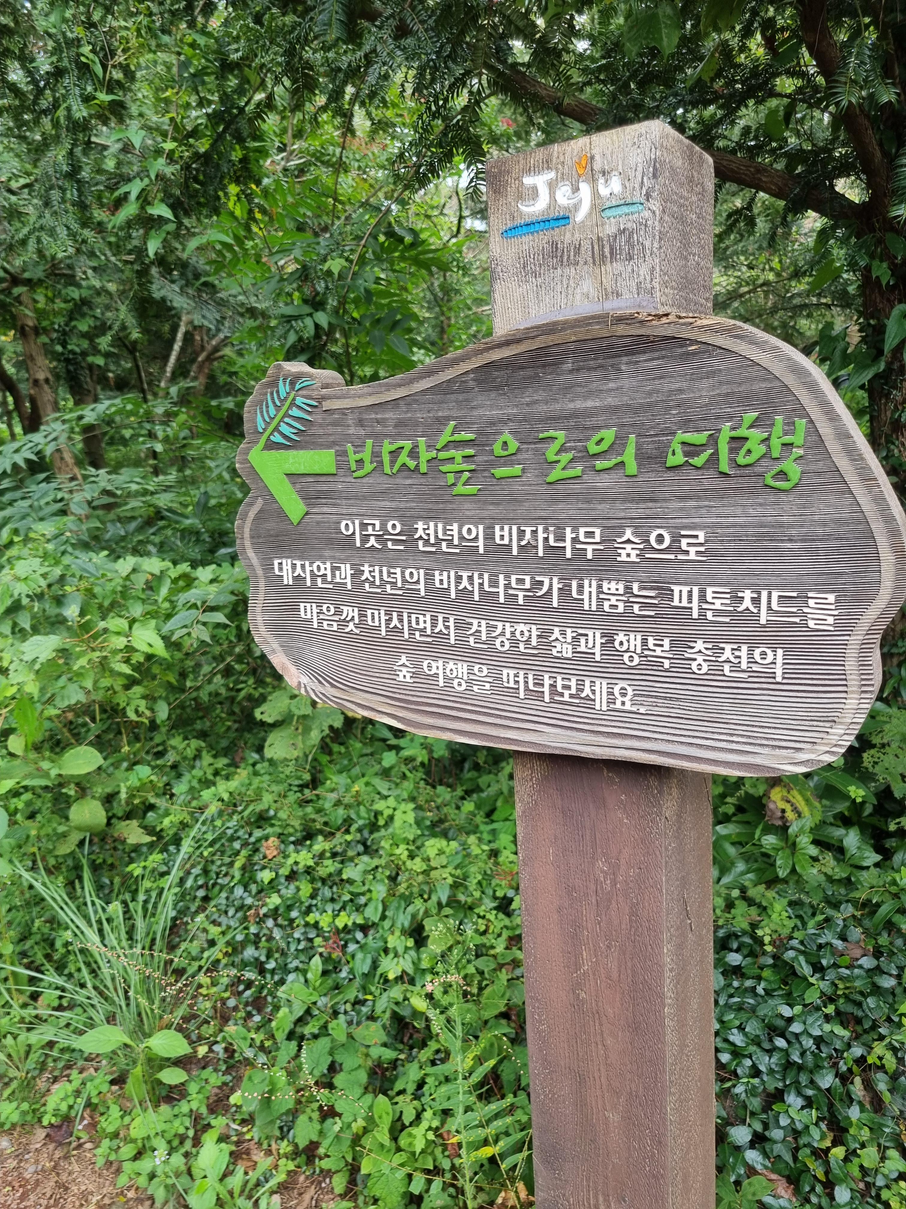 비자림