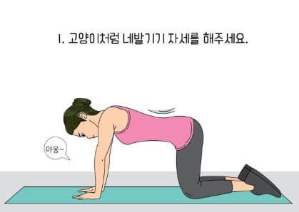 운동 전 루틴 네발기기 자세 고양이 자세