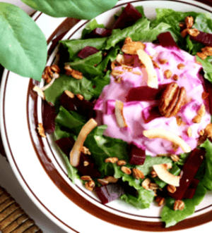 비트_먹는_방법