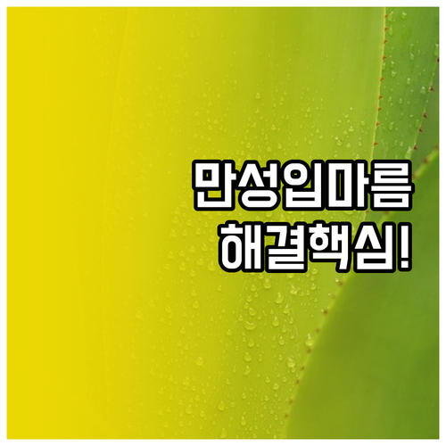 충치 잇몸병 유발하는 만성 입마름 구..