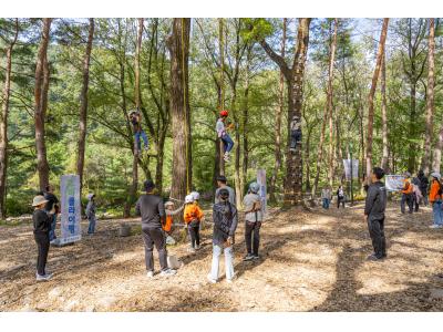 강원도 '인제 가을꽃축제' 언제야? 2025 일정과 포토존 코스 한눈에 보기
