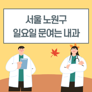 서울 노원구 일요일 내과 진료 병원 리스트