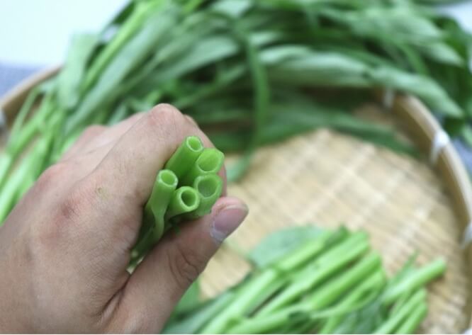 공심채