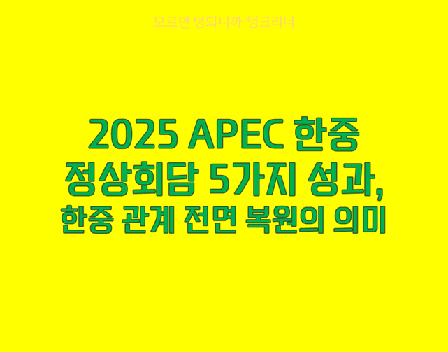 한중 정상회담 성과