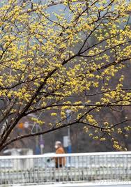 2025년 춘분 뜻 날짜, 의미