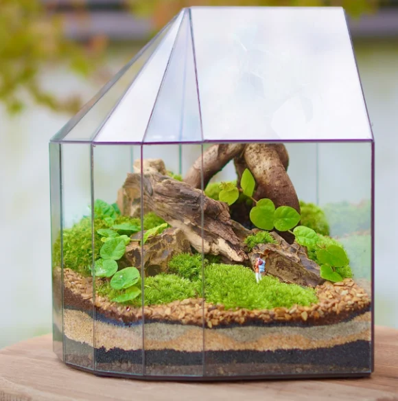 그린스테이-구-테라리움-모닝와이드