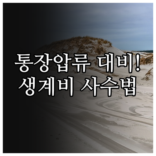 통장 압류 대비법 생계비계좌 범위변경..