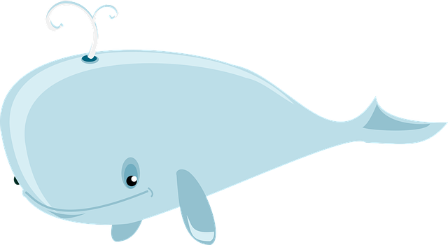 whale
