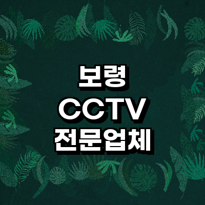 보령시 cctv