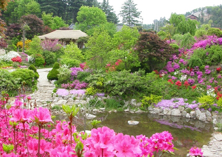 아침고요수목원