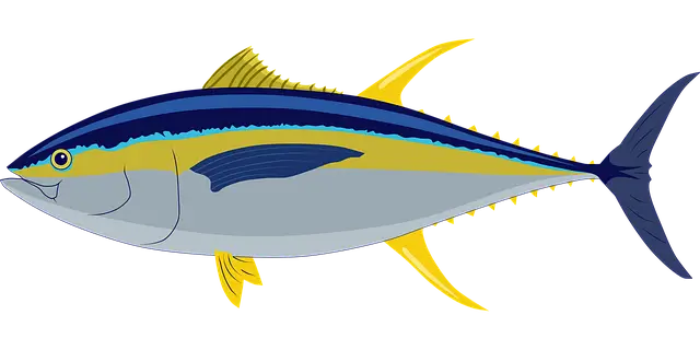 롯데마트 참다랑어 모듬회 50% 할인 행사