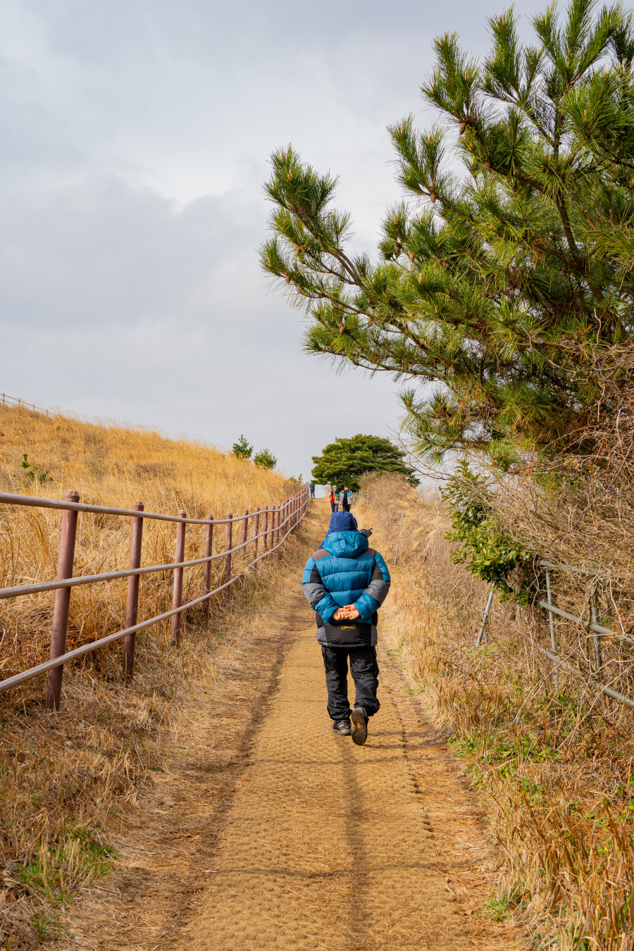 용눈이 오름 등산로