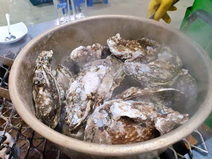 생방송오늘저녁 섬진강 하동 벚굴 구이 강굴 벚굴찜 벚굴전 벚굴죽 재첩국 재첩회무침 맛집 추천