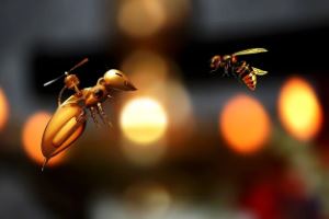 벌에 쏘였을 경우