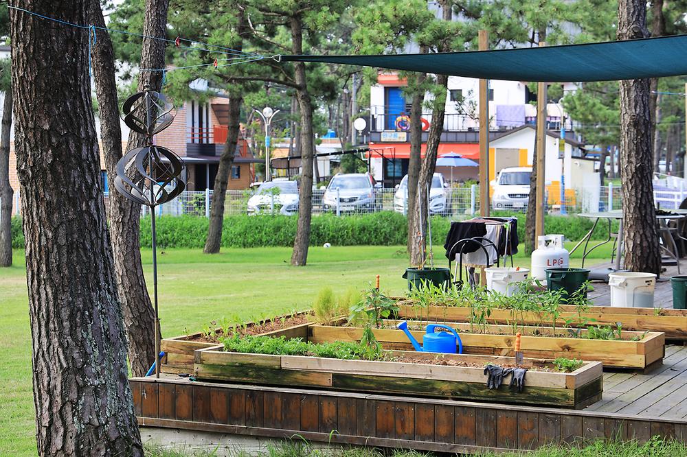 전북 고창 구시포 노을캠핑장 소개