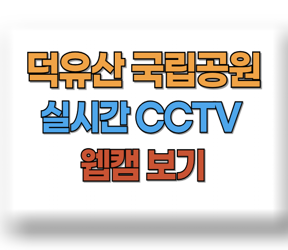 덕유산 CCTV