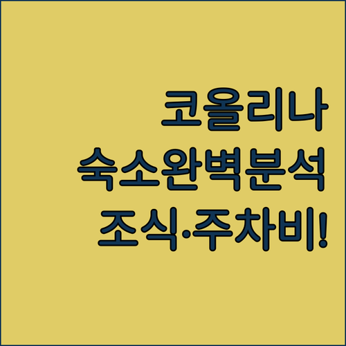 하와이 카폴레이 코올리나 숙소별 장단..