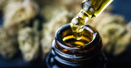 대마종자유 효능&amp;#44; 햄프씨드 식물성 오일로 먹자! 이제는 모두가 건강에 관심이 많다 보니 관리 또한 똑똑하게 합니다. 