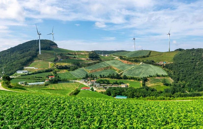 강릉 겨울여행 아이와 가볼만 한 곳 best3