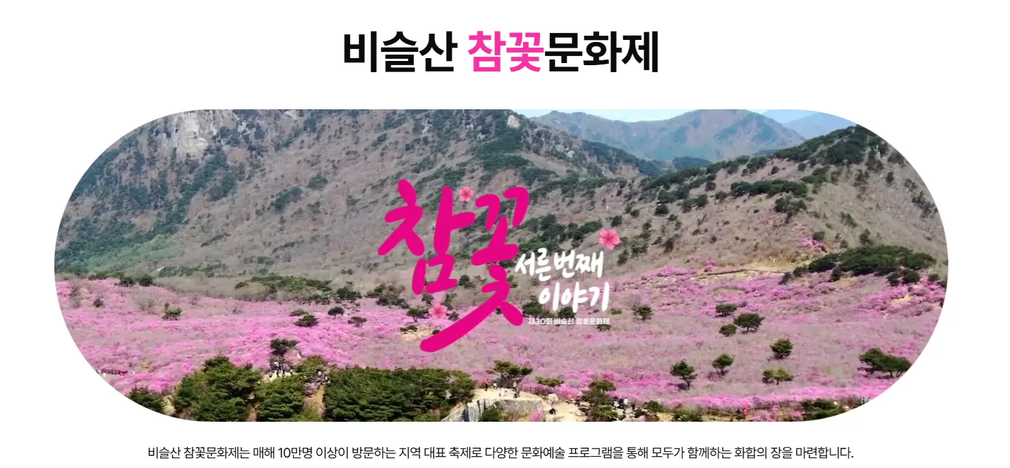 대구 달성 비슬산 참꽃문화제