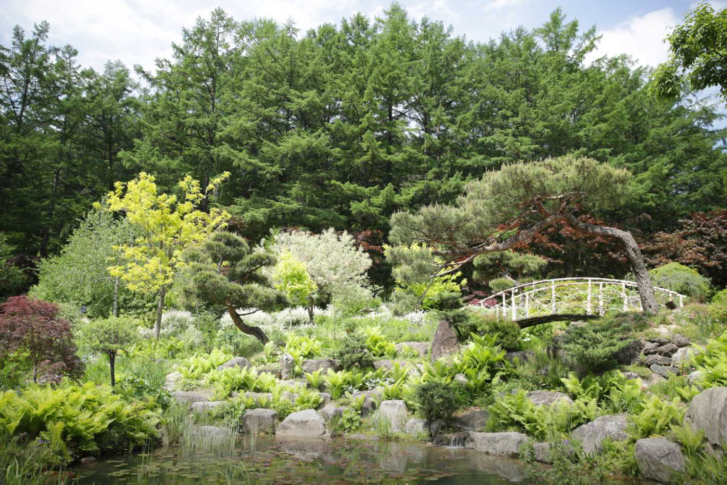 아침고요수목원