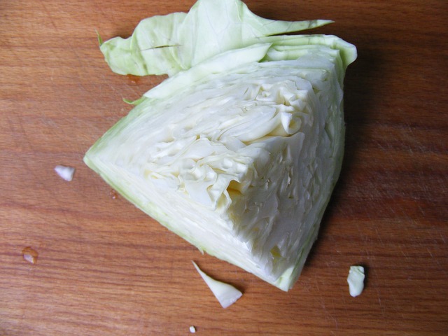 다이어트-양배추