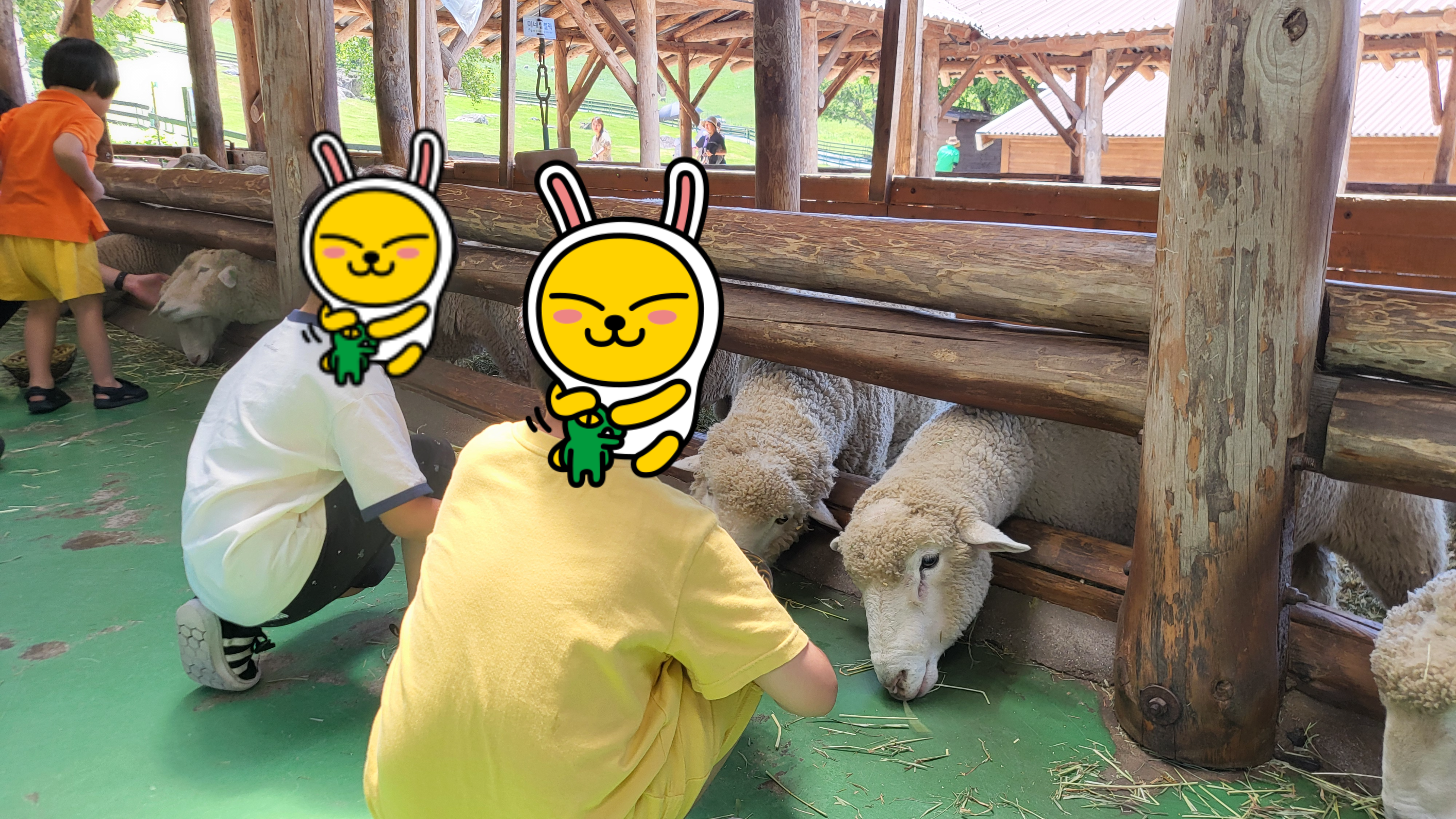 양에게 건초주는 아이들