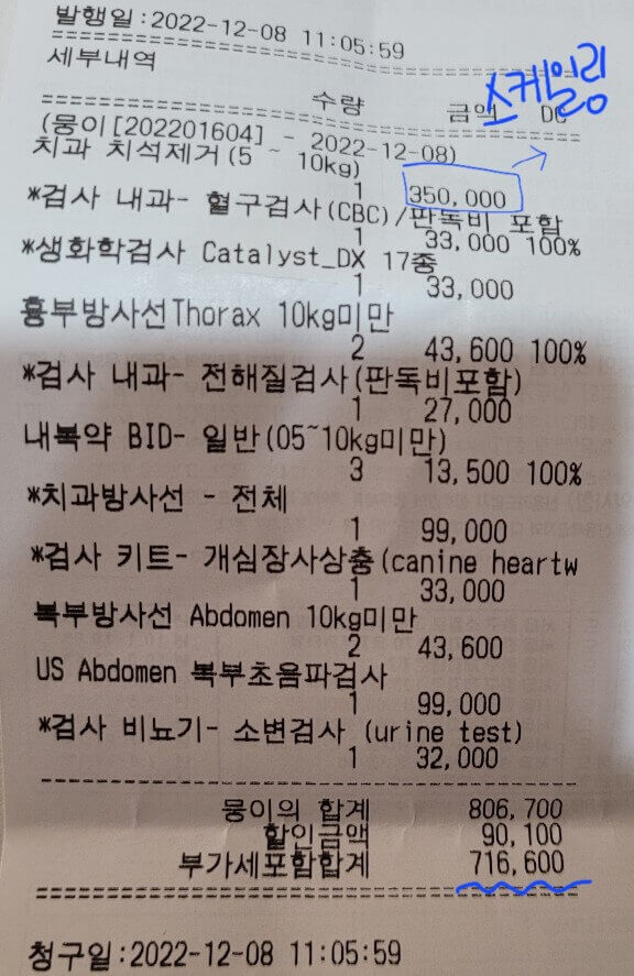 강아지-치석제거