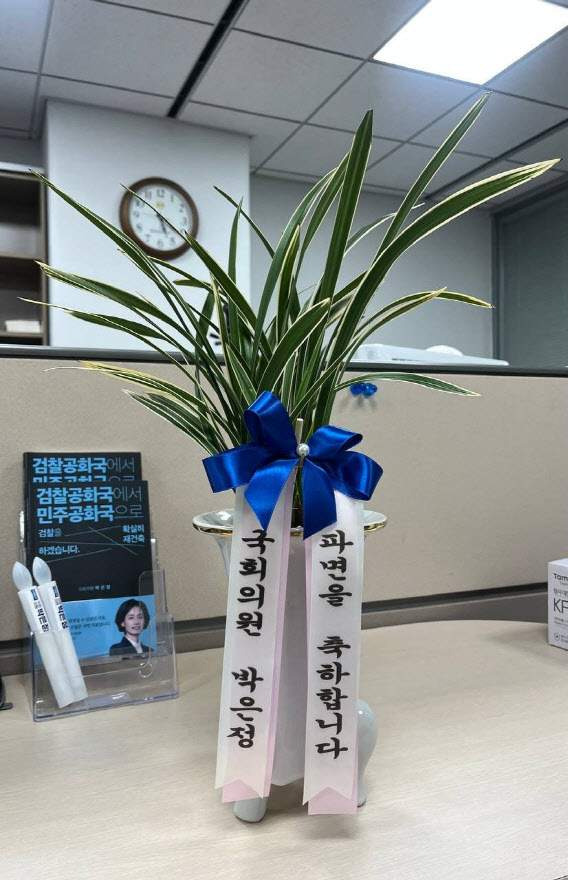 박은정 윤석열 파면 축하 난