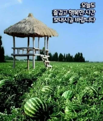 생활성가 있는 그대로 윤순 로사리아 악보_9