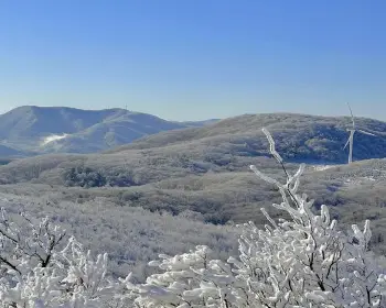 선자령 실시간 cctv&amp;#44; 날씨_20