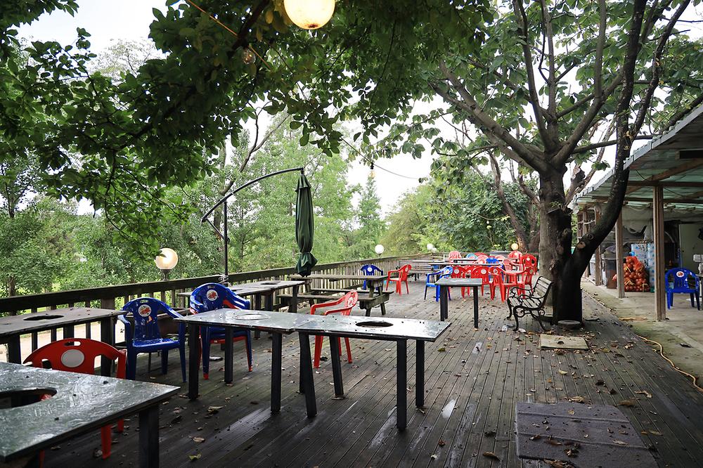 경기도 평택시 갈릴리 야영장 소개