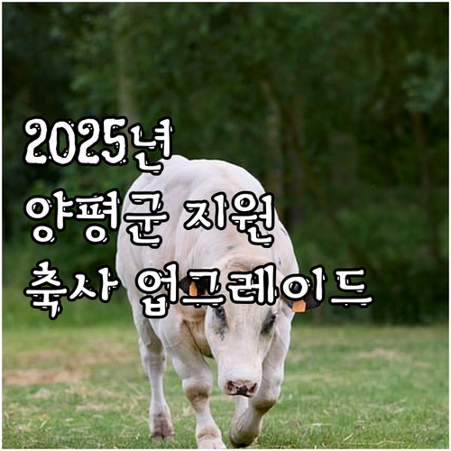 2025 양평군 가금류 사육 환경 개..