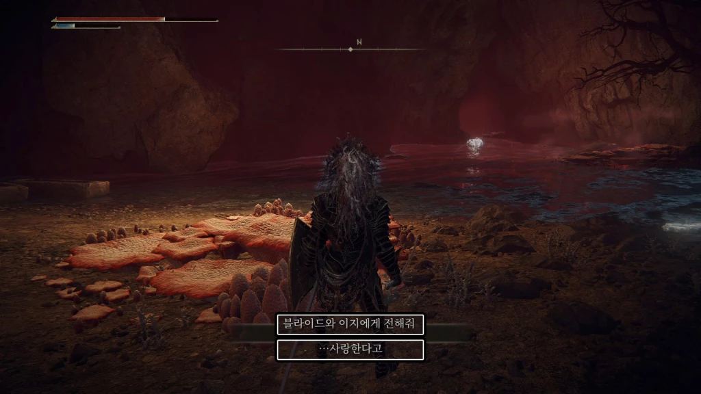 블라이드