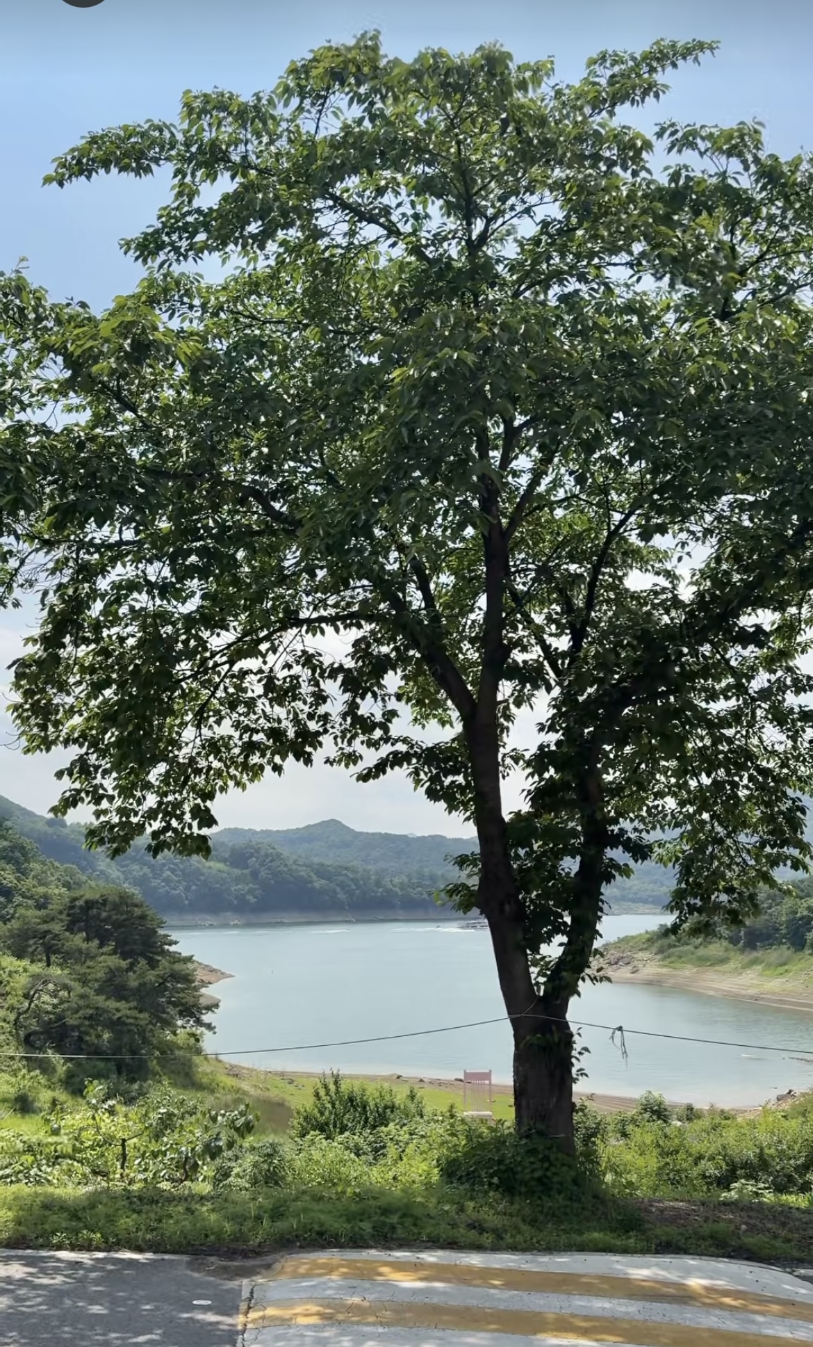 2TV 생생정보 5월 27일 맛집 완도 여행 코스·상암동 콩국수·추억의 치킨 위치 정보 관련사진