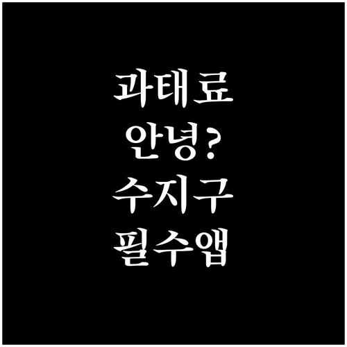 용인 수지구 주차단속 알림 서비스 신..