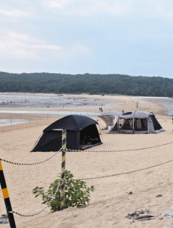 인천_무의도_가는길