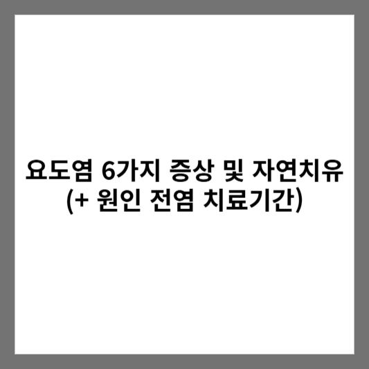 요도염 6가지 증상 및 자연치유 (+ 원인 전염 치료기간)