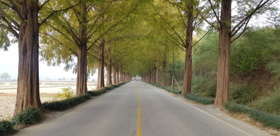 순창 가볼만한곳 베스트10