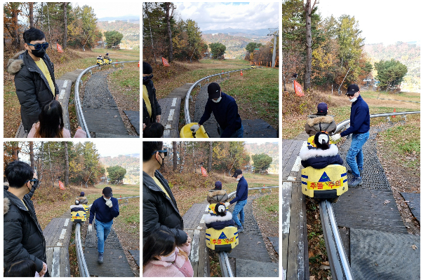 용평리조트 마운틴 코스터
