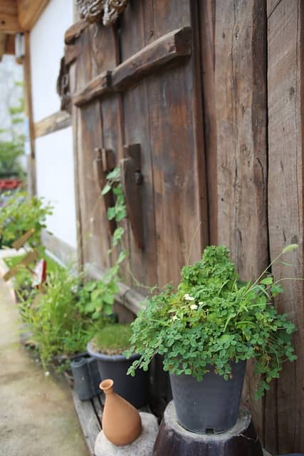 사계절 즐기는 에코 체험마을 탐방