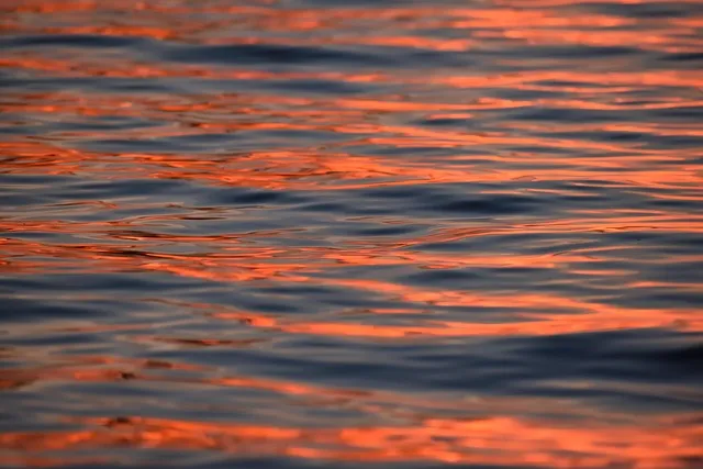 릴 핏 골든 파이프 단종 리뷰 연초 신맛 타격감 정리_9