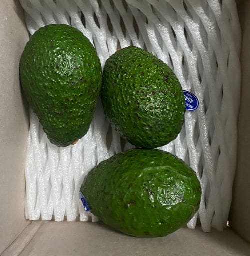 아보카도배송