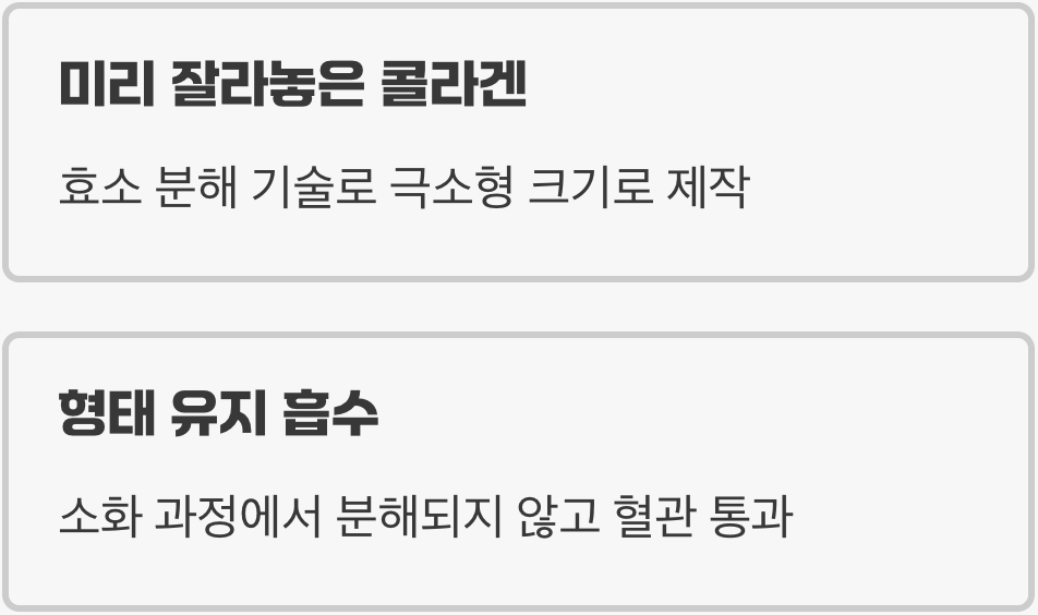 2. 열쇠 구멍에 맞는 열쇠, '저분자 콜라겐 펩타이드'