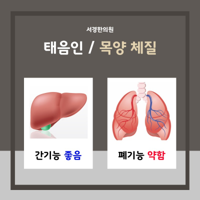 팔체질의학 목양체질