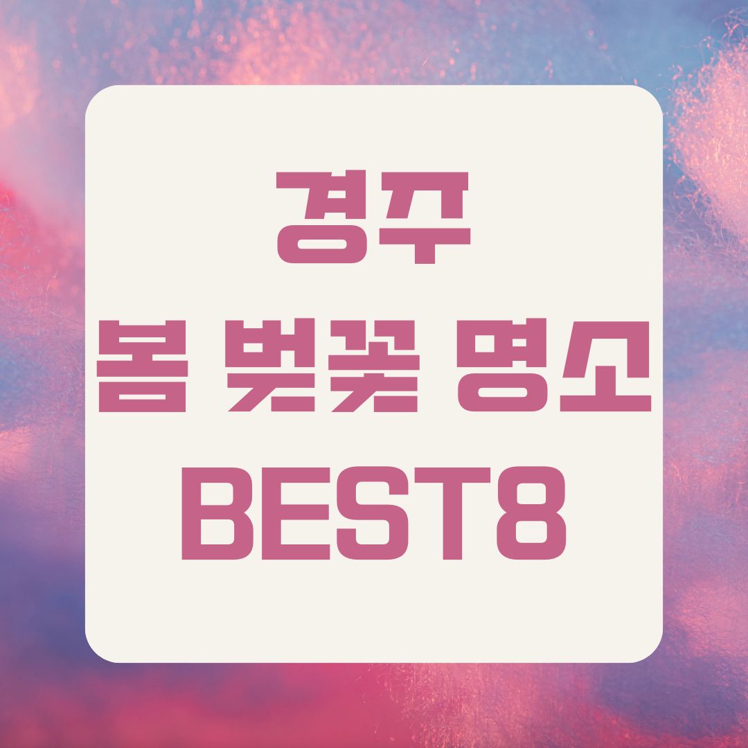 경주 봄 벚꽃 명소