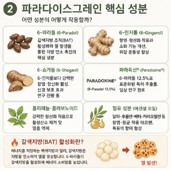 파라다이스그레인-효능-내돈내산-후기-먹는법-가격