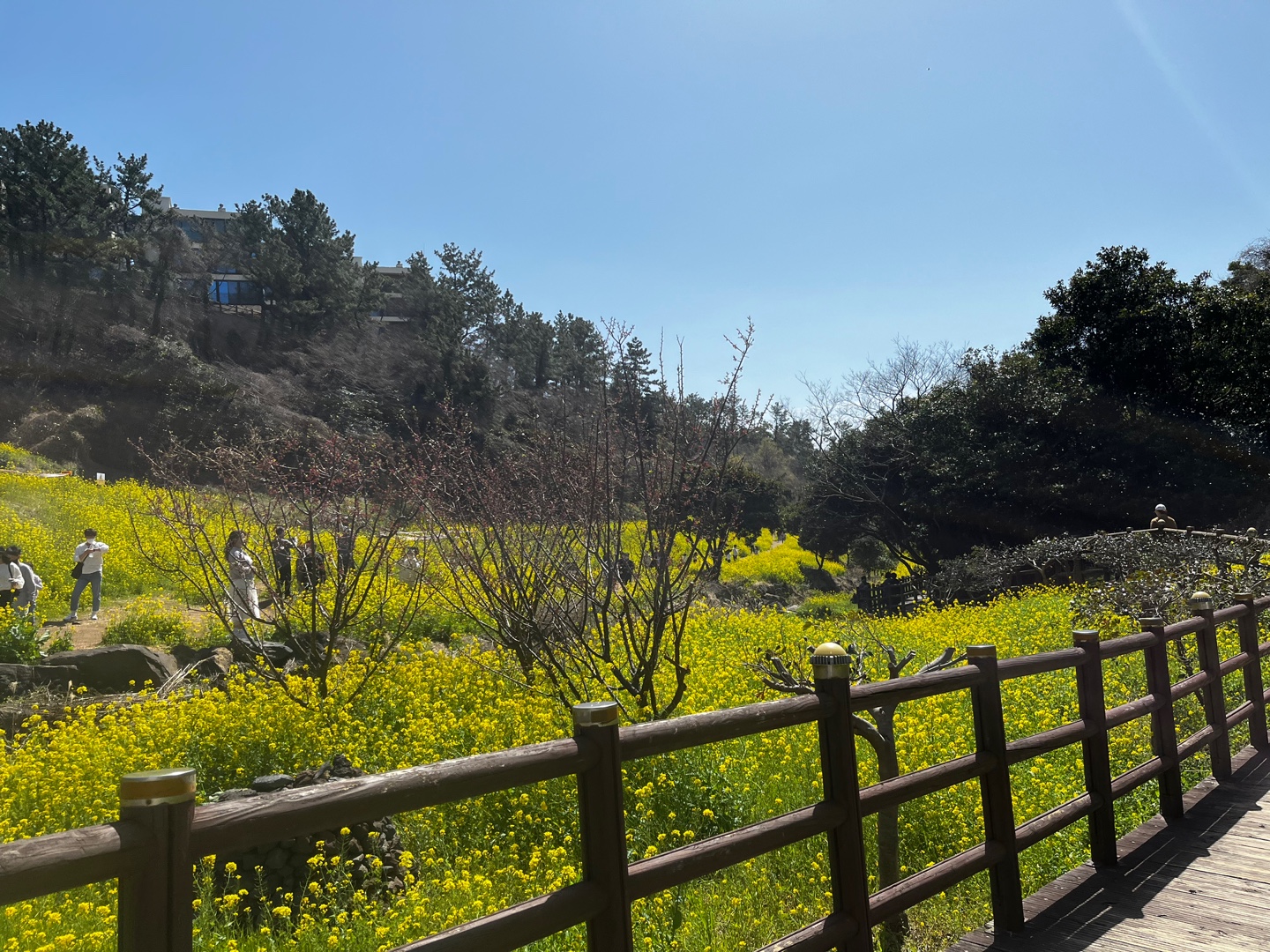제주도엉덩물계곡